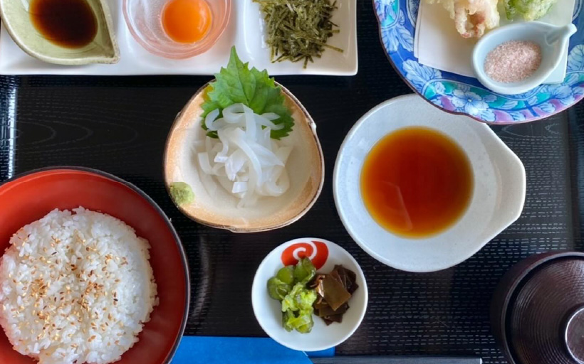 ペット同伴でのランチ