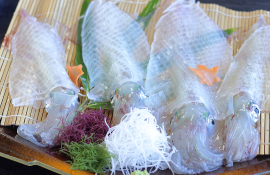 呼子で海鮮ランチ