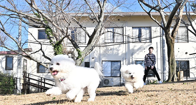 屋外ドッグラン&屋内ドッグラン