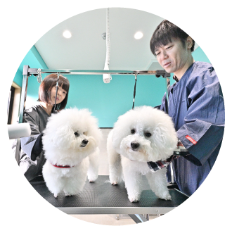 屋外ドッグラン&屋内ドッグラン