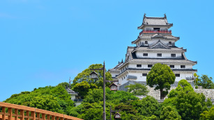 呼子、唐津の観光へ…