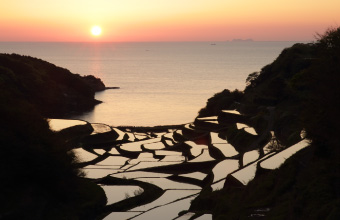 浜野浦の棚田展望台